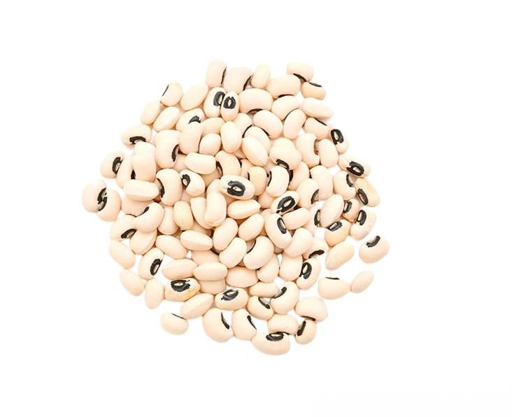 Haricot Blanc