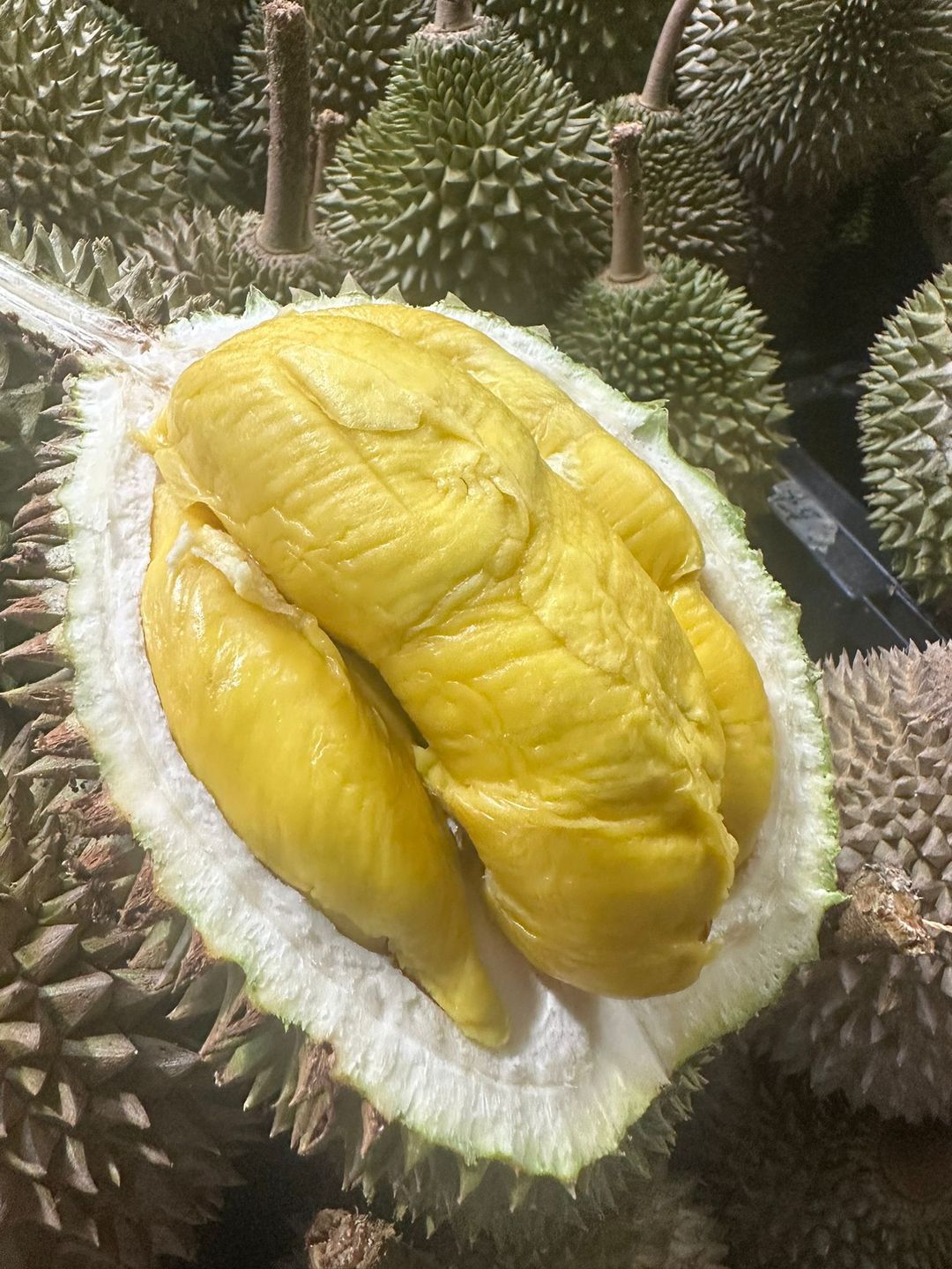 Organic Mao Shan Wang
