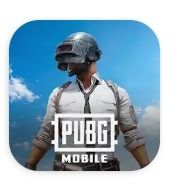 Pubgi