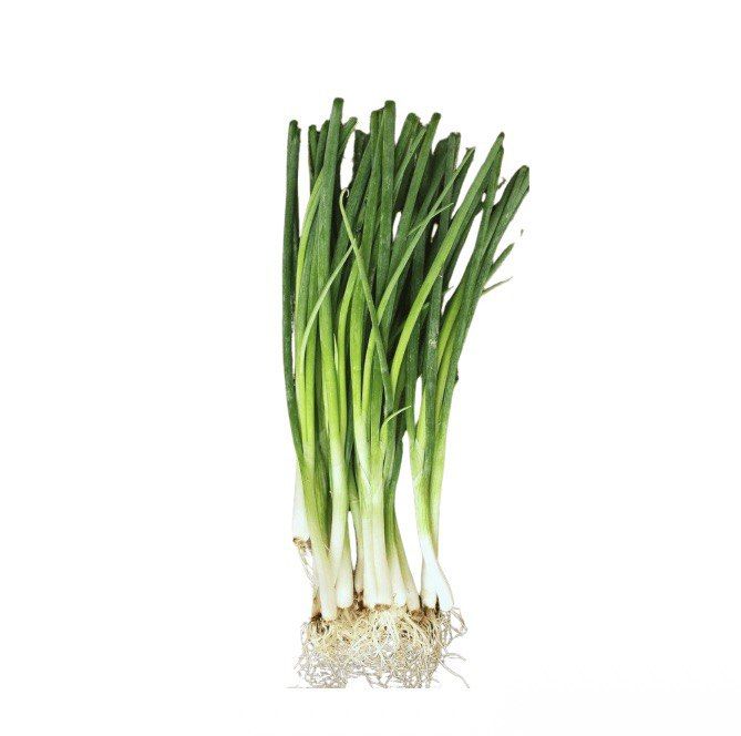 Feuille d oignon