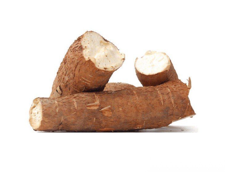 Manioc