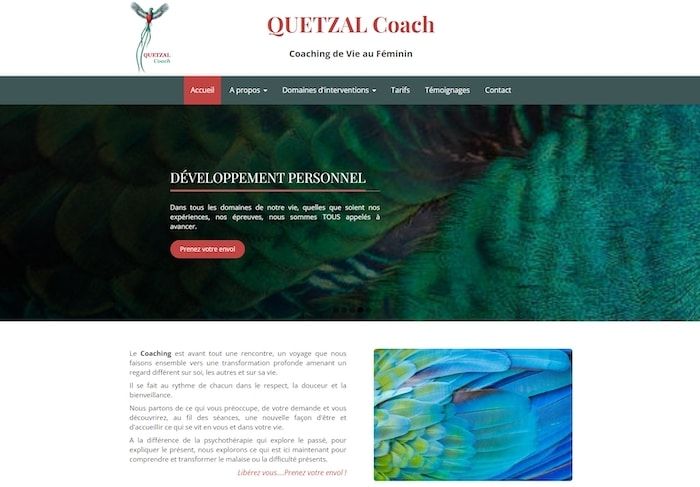 Site vitrine professionnel