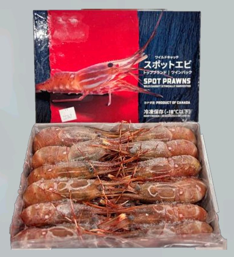 Jumbo Botan Ebi