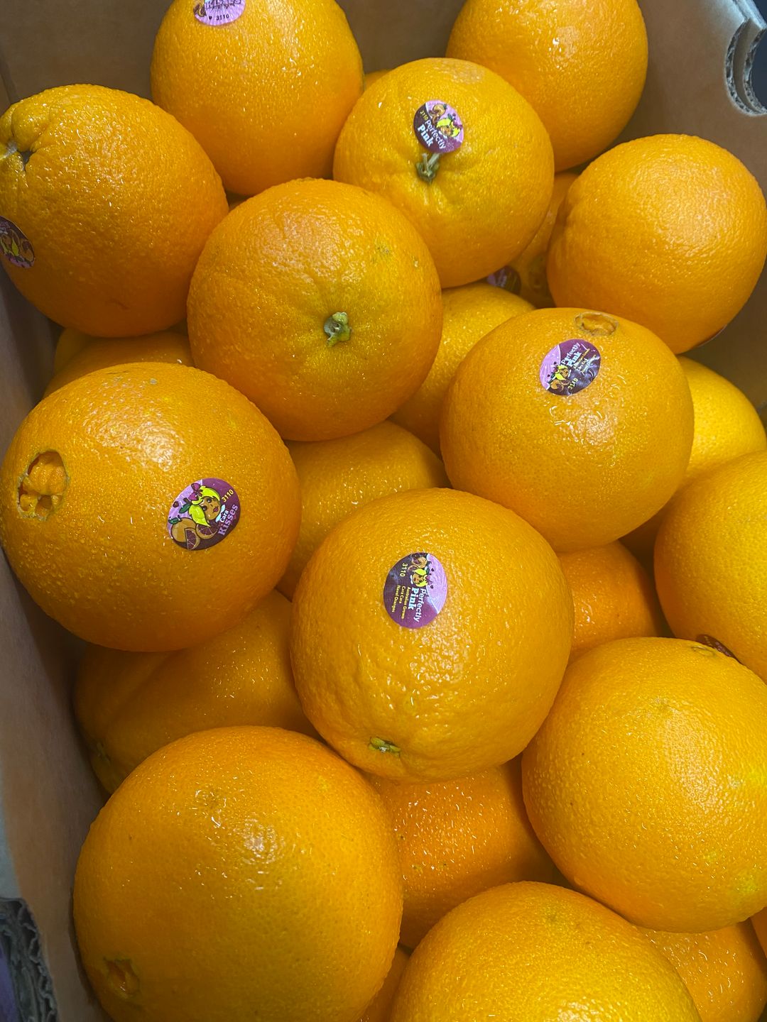 Aust Cara Cara Orange