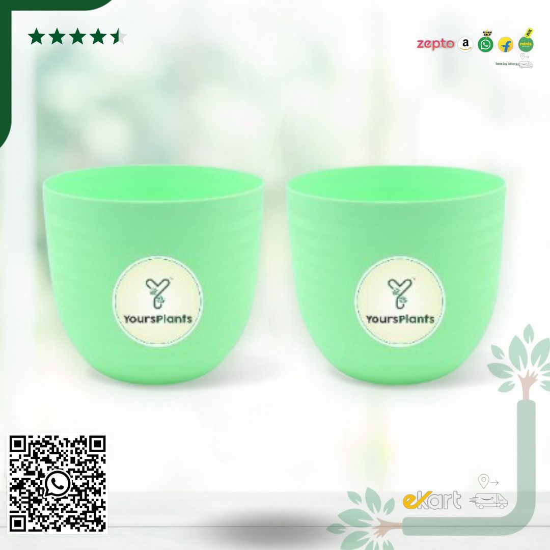 Green Verona Plants Pot for Home & Office Decor {Pack of 2}