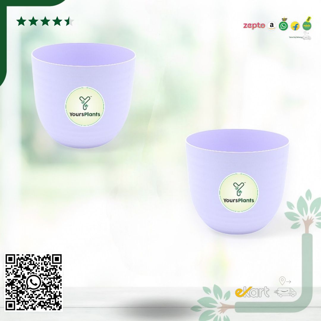 Purple Verona Plants Pot for Home & Office Decor {Pack of 2}