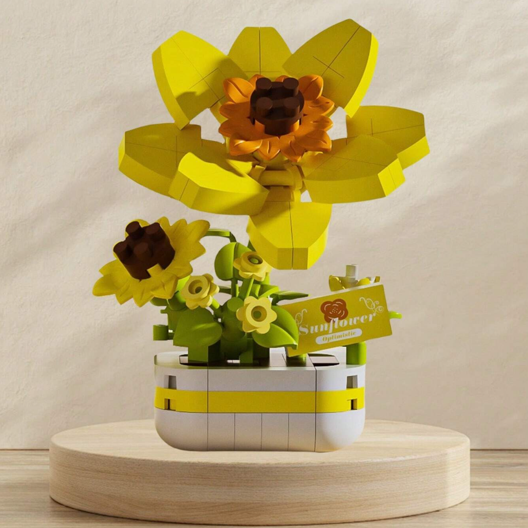 Potted sunflower
