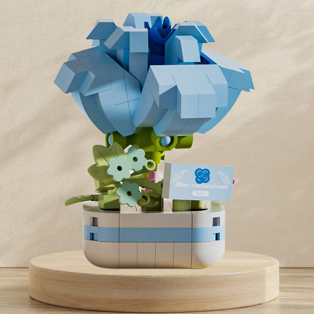 Potted Blue enchantress 