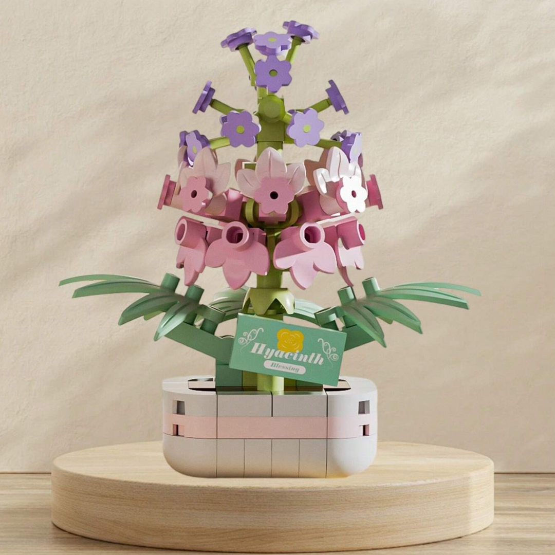 Potted Hyacinth