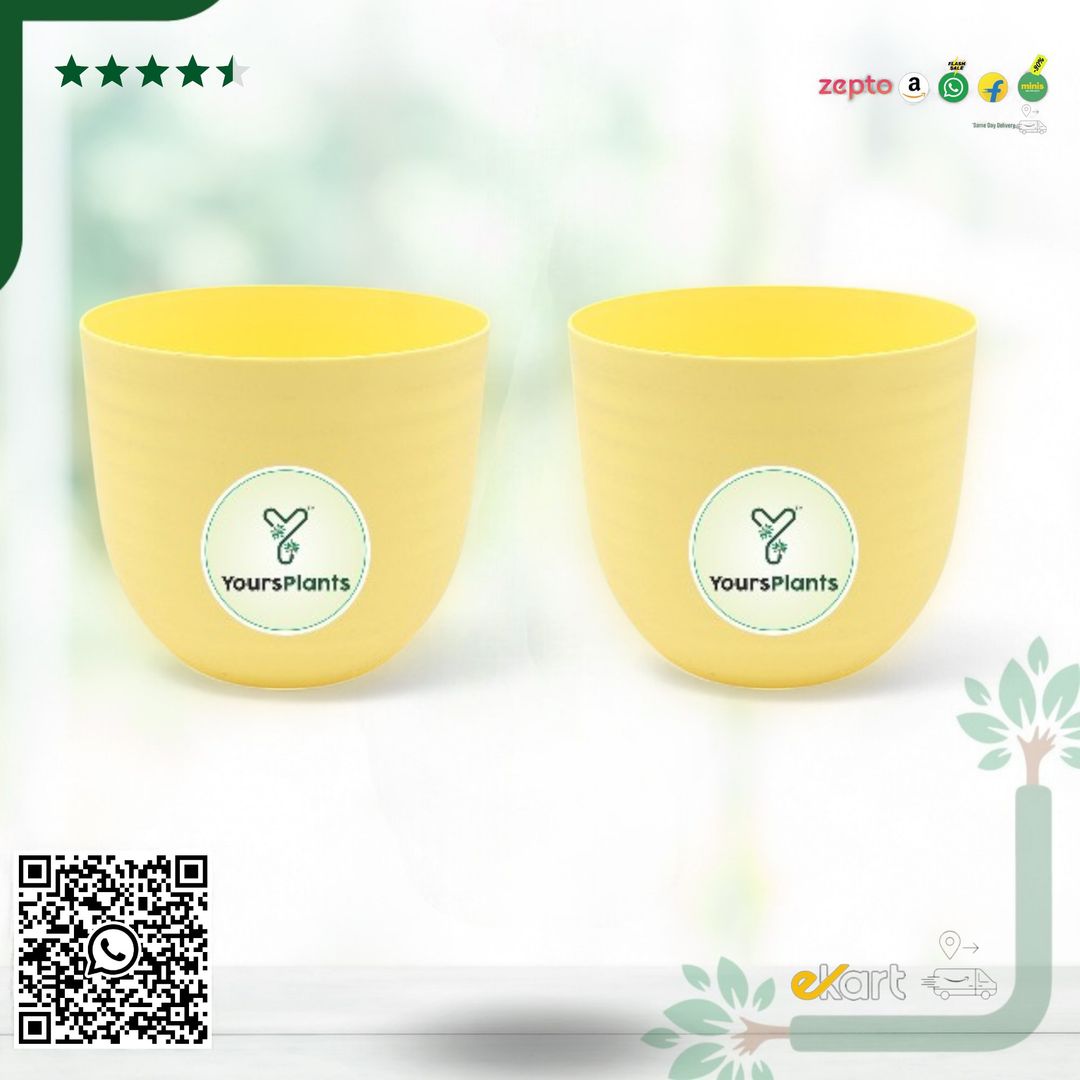 Yellow Verona Plants Pot for Home & Office Decor {Pack of 2}