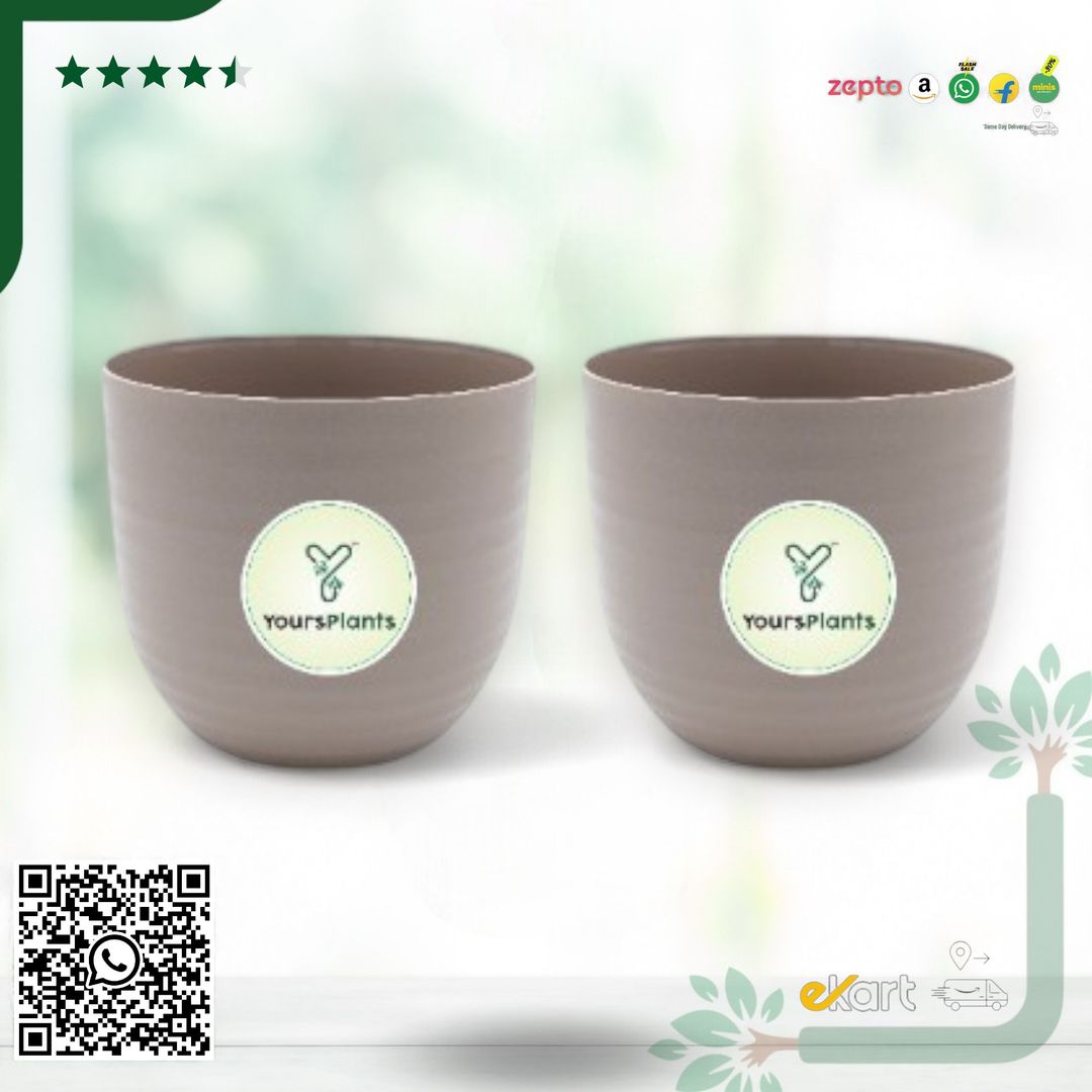 Mocca Verona Plants Pot for Home & Office Decor {Pack of 2}