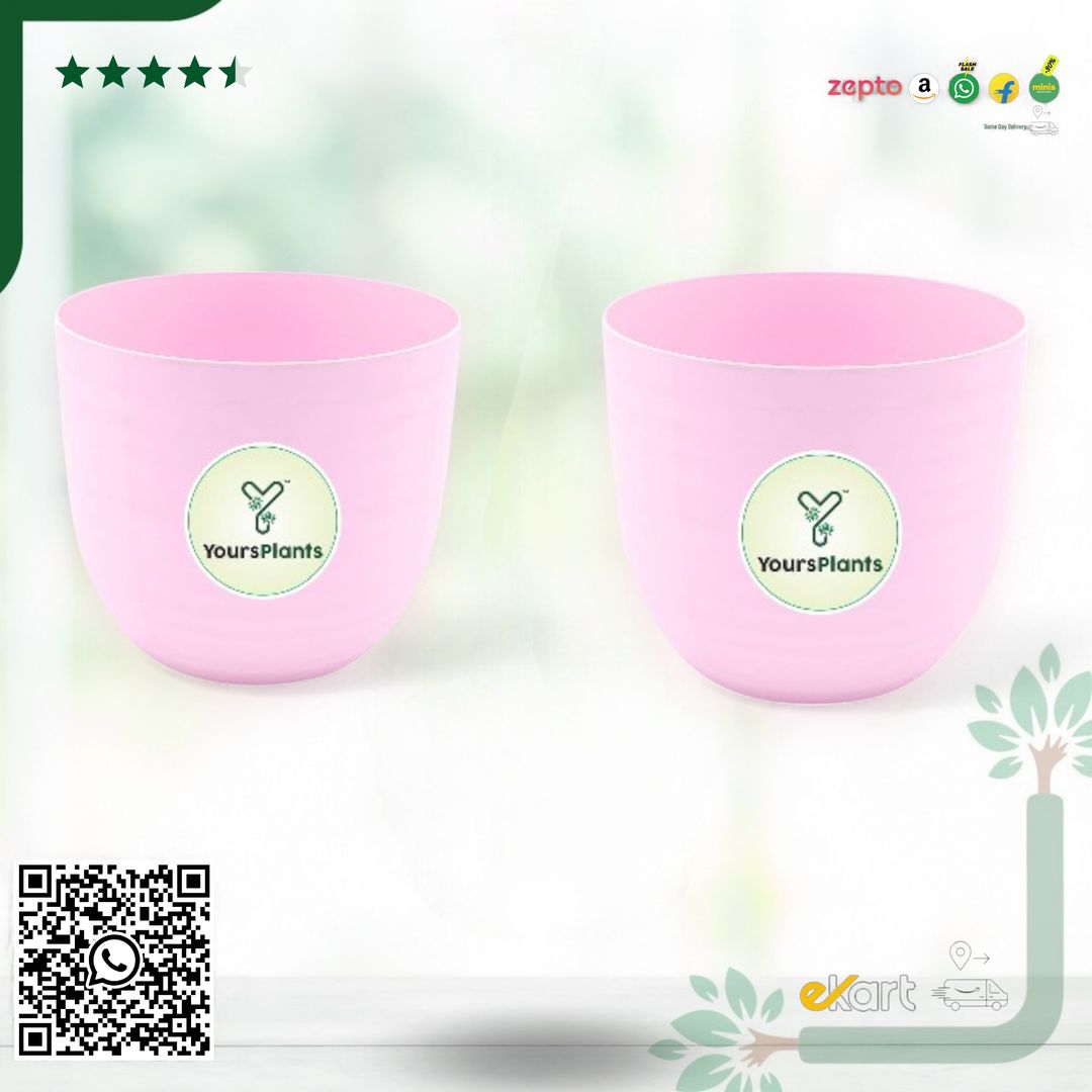 Pink Verona Plants Pot for Home & Office Decor {Pack of 2}