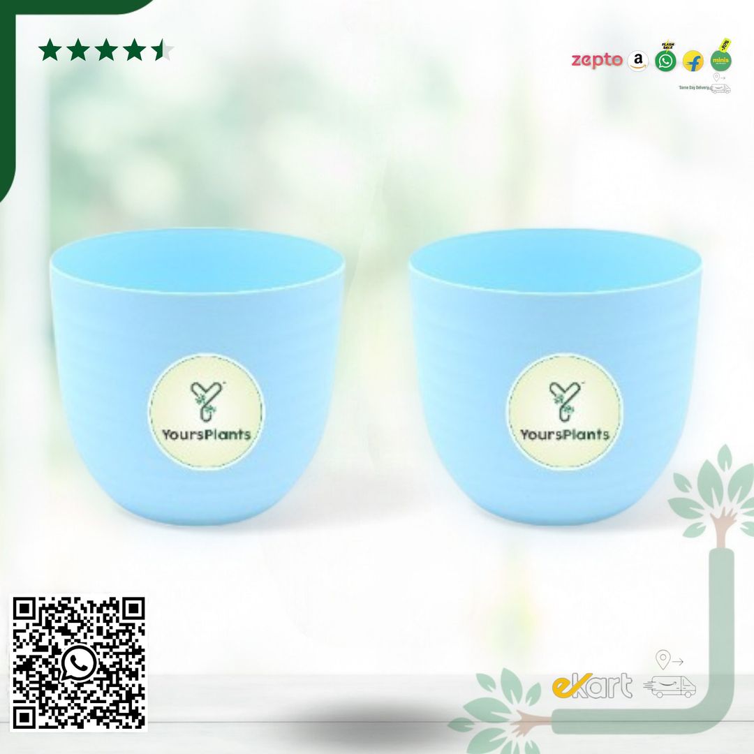 Blue Verona Plants Pot for Home & Office Decor {Pack of 2}