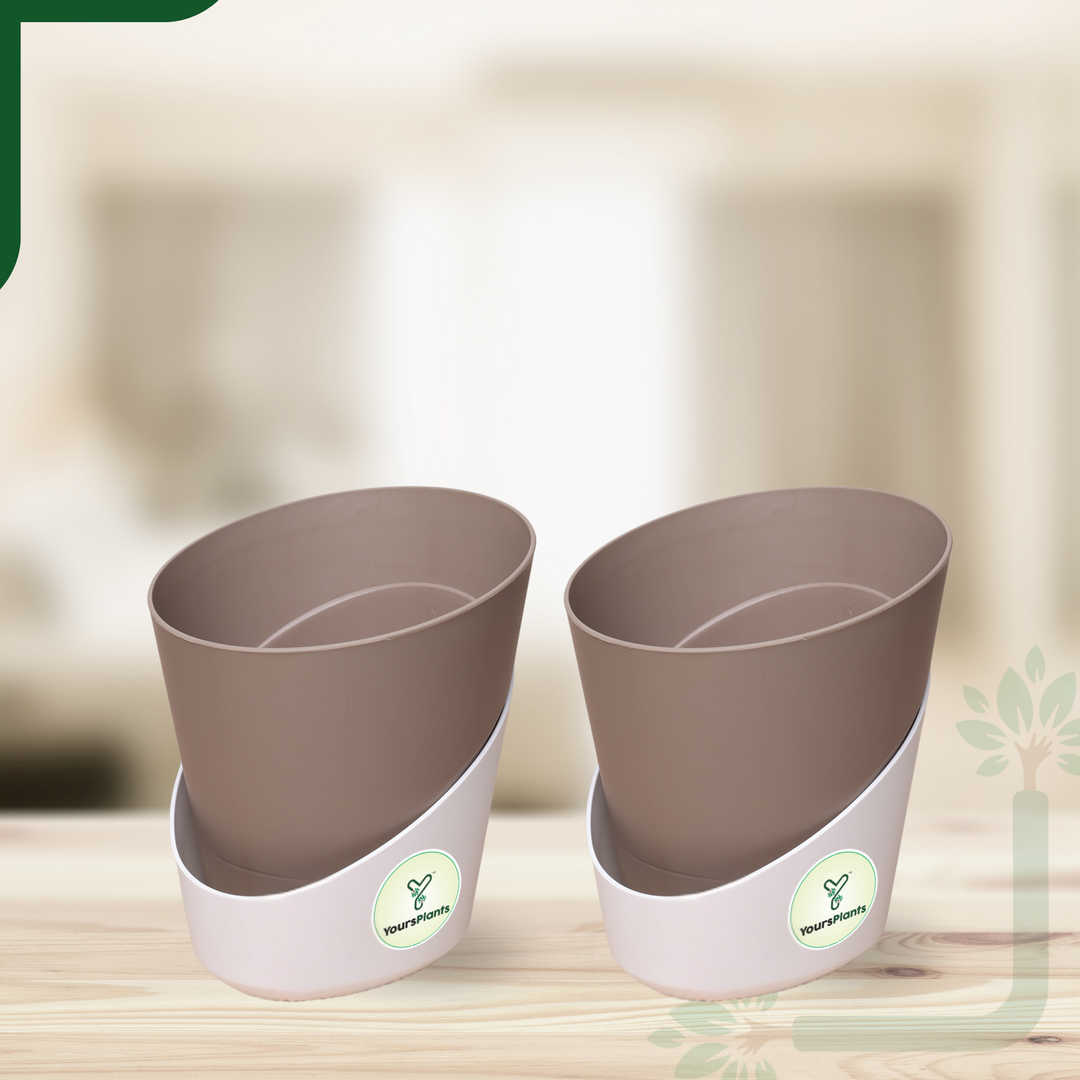 Mocca Atlantis Self Water Pots | Pack of 2 |