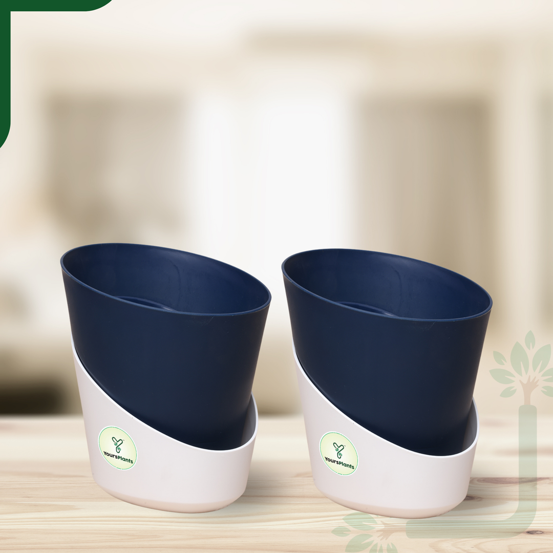 Navy Blue Atlantis Self Water Pots | Pack of 2
