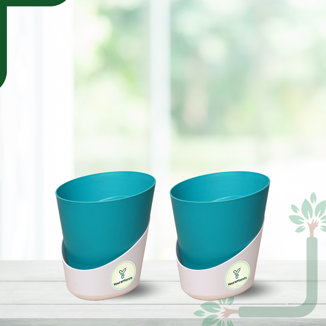 Teal Atlantis Self Water Pots | Pack of 2