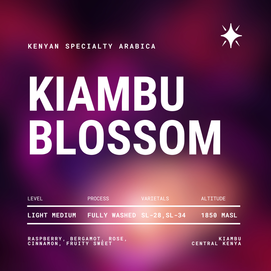 Kiambu Blossom | Washed Arabica 