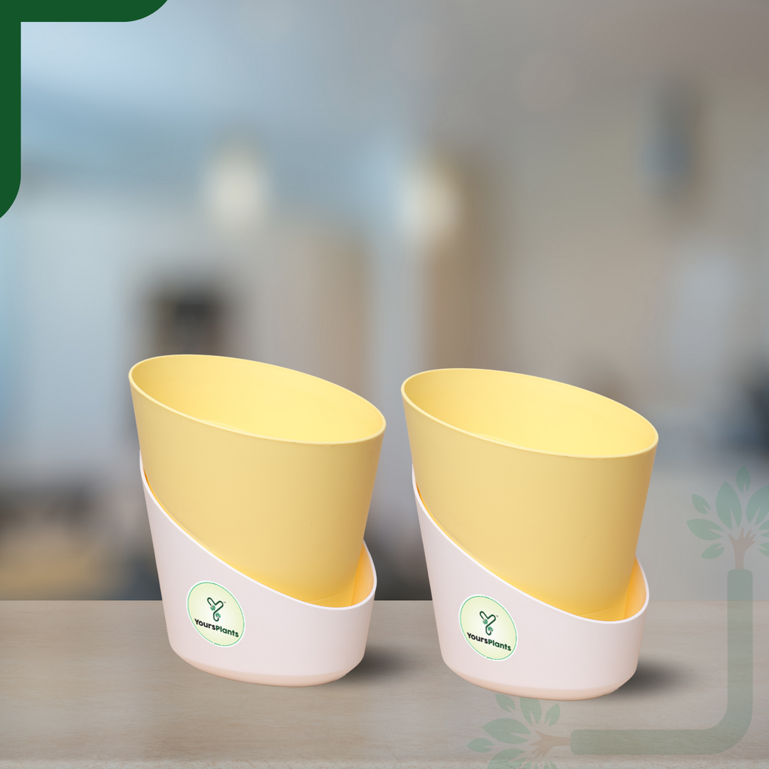 Pastel Yellow Atlantis Self Water Pots | Pack of 2