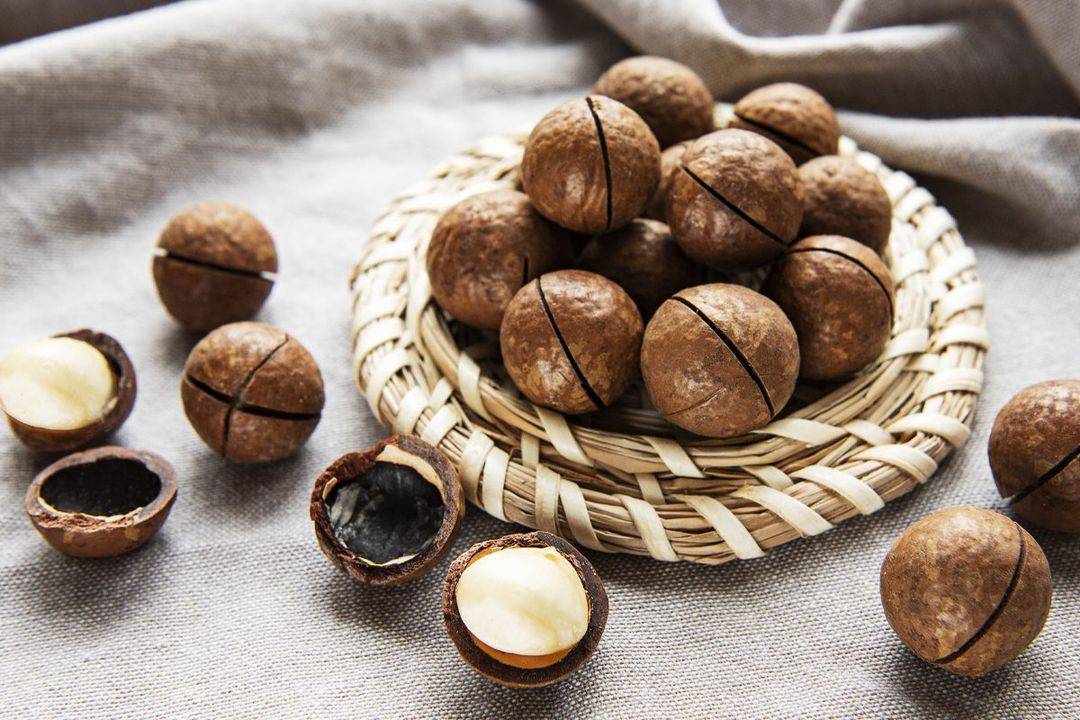 Esencia Macadamia 