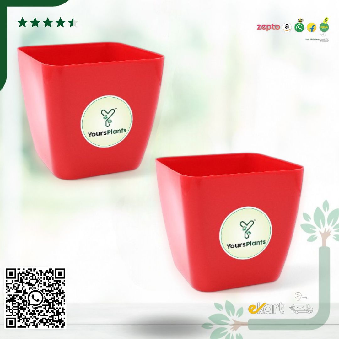 Siena Square Planters | Pack of 2 | Red Pot
