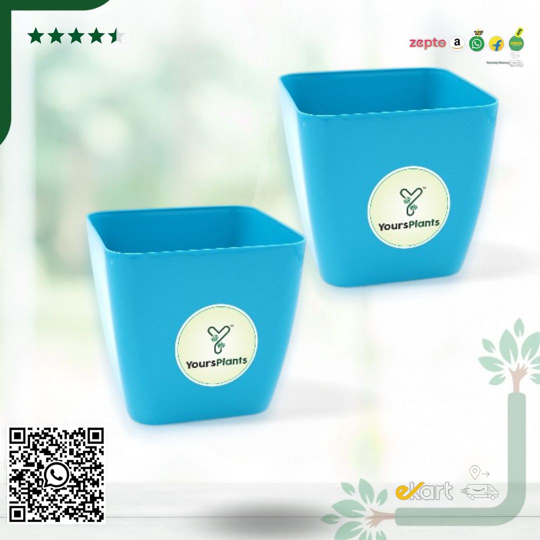 Siena Square Planters | Pack of 2 | Blue Pot