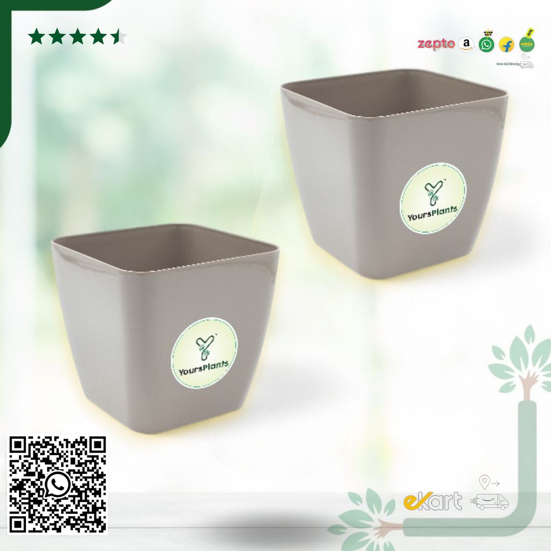 Siena Square Planters | Pack of 2 | Mocca Pot
