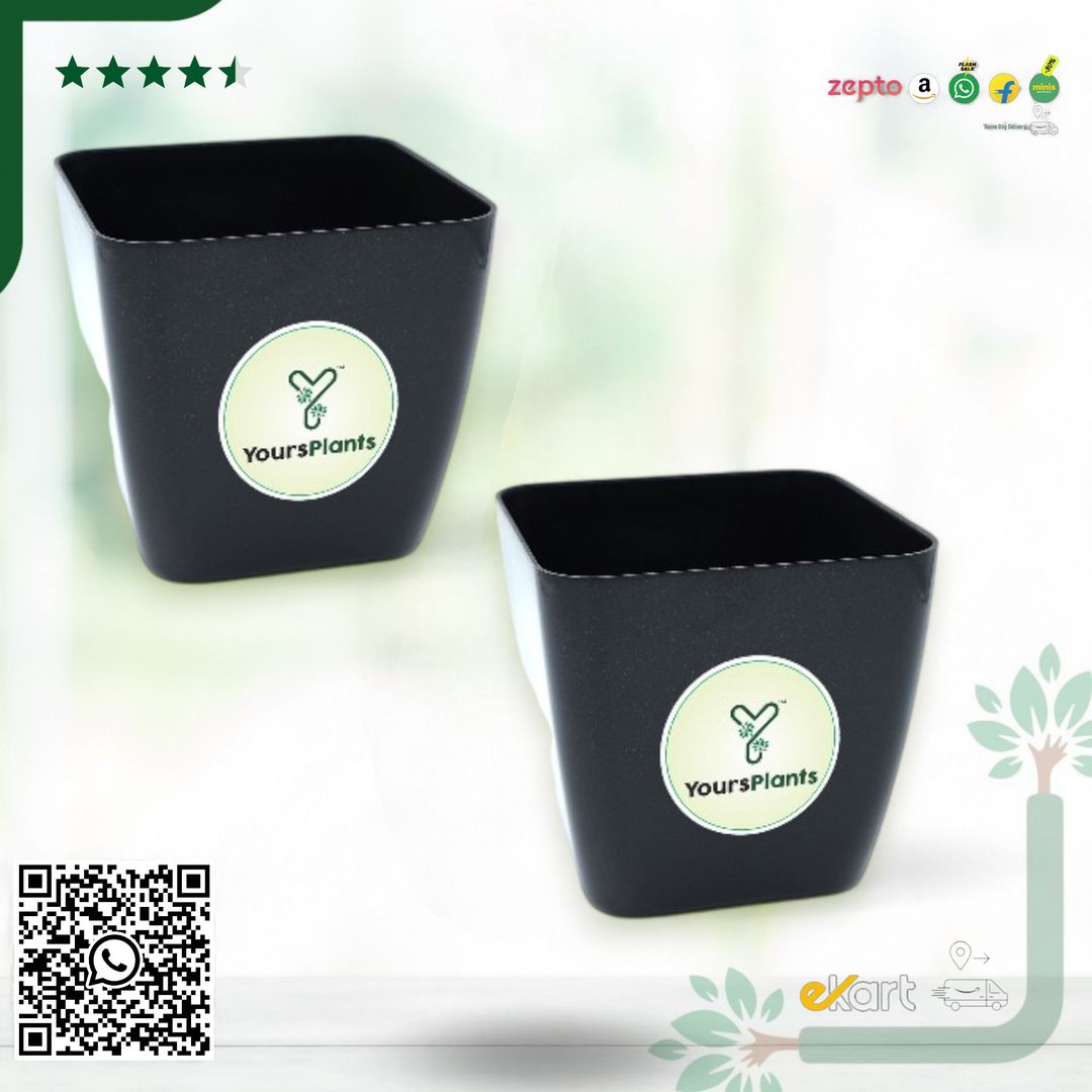 Siena Square Planters | Pack of 2 Black Pot