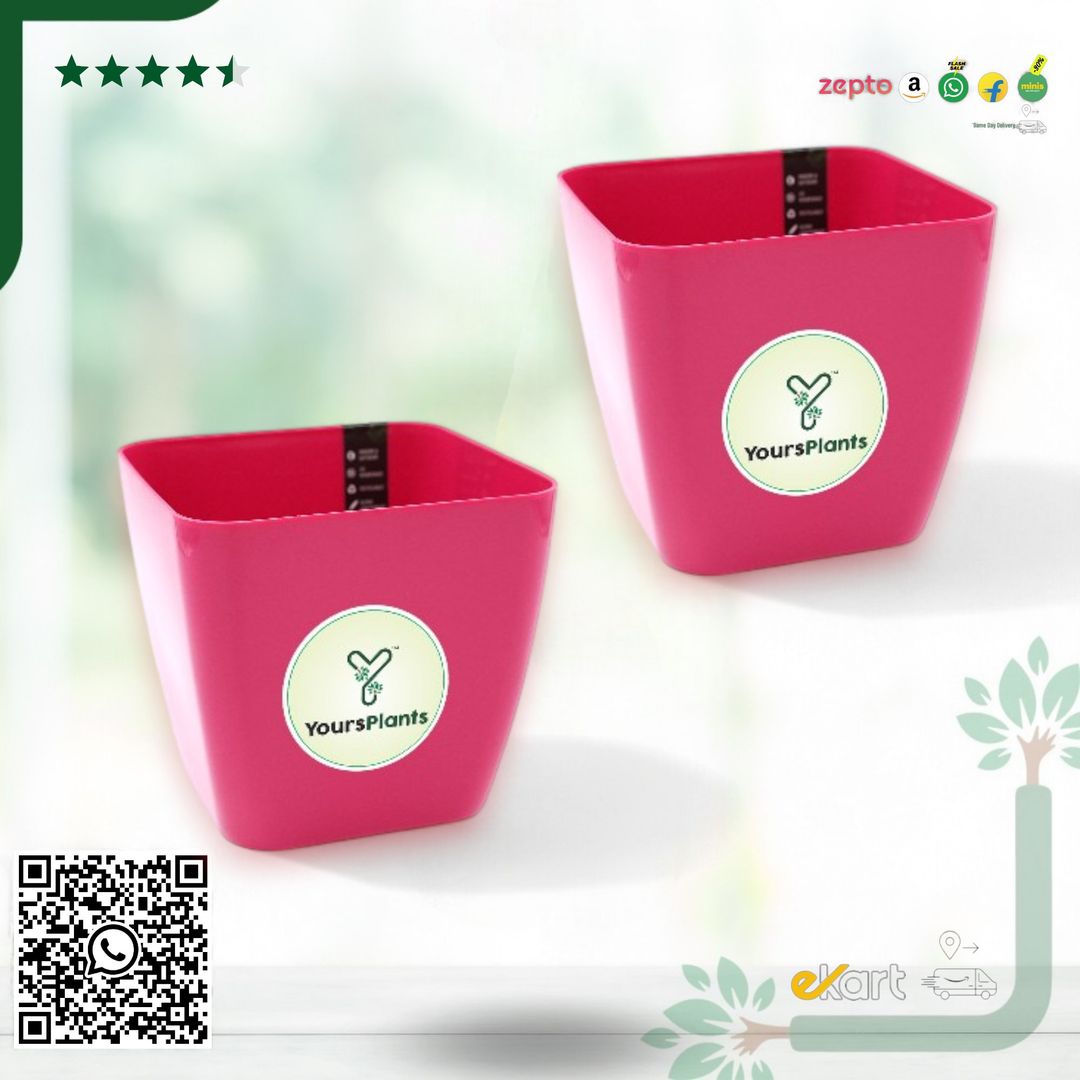 Siena Square Planters | Pack of 2 Pink Pot