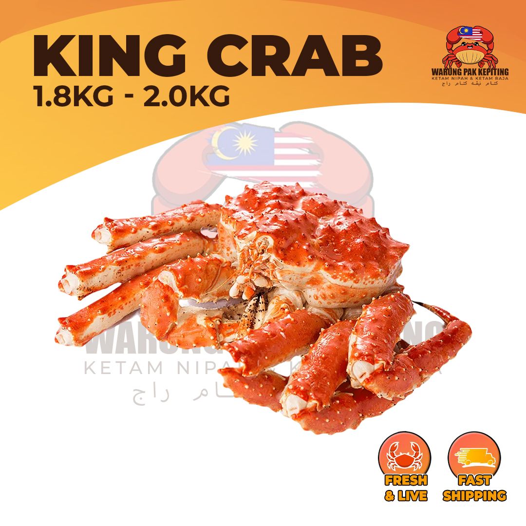 Pre-Order [FRESH LIVE] King Crab 1.8kg-2.0kg