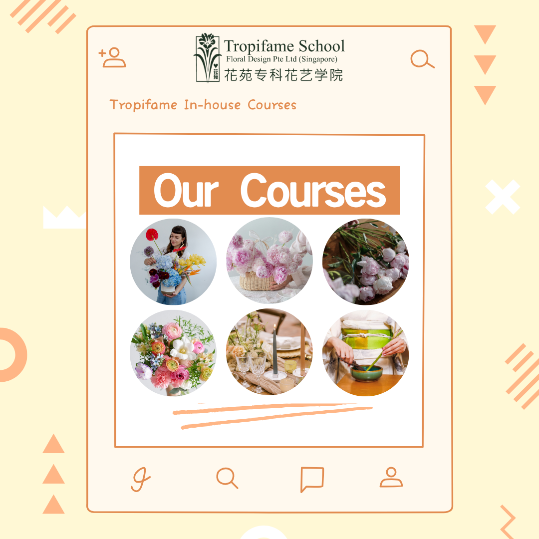 Ikebana II [First Grade] - TFDS