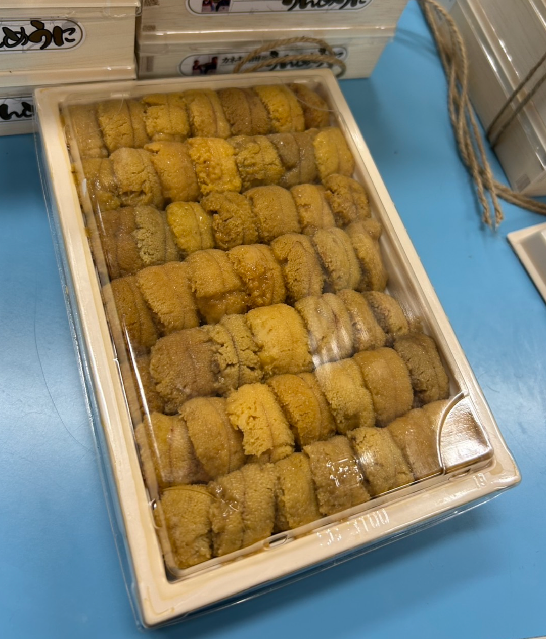 250g 'Yoshida 吉田' Murasaki Uni