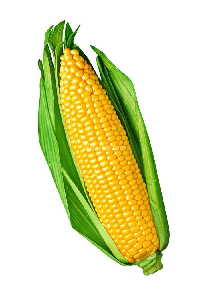 ذره