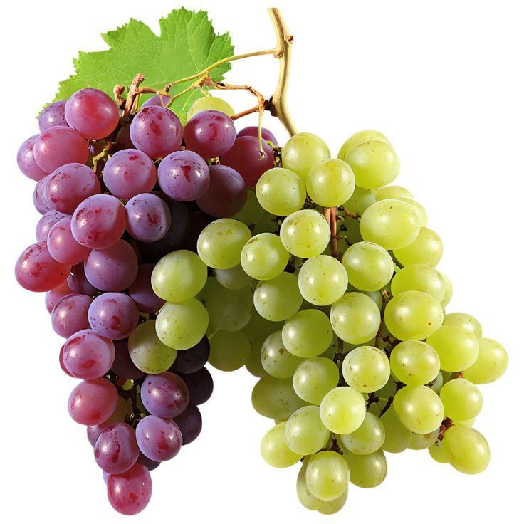 عنب 