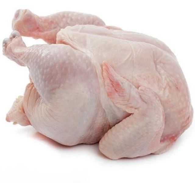 دجاج فريش