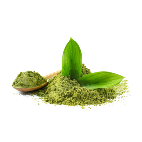 Matcha puro