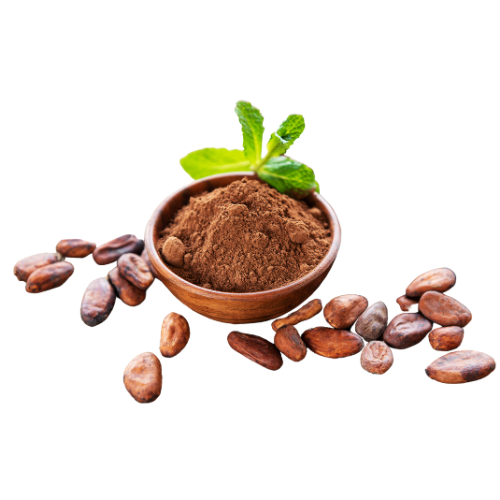 Cacao en polvo sin azúcar