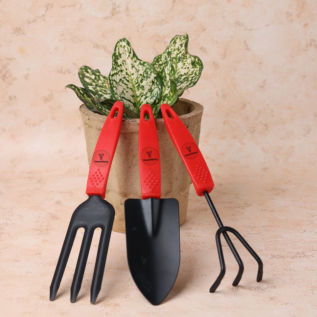 Garden Tool Kit 3 Pieces--Shovel, Cultivator, Weeder