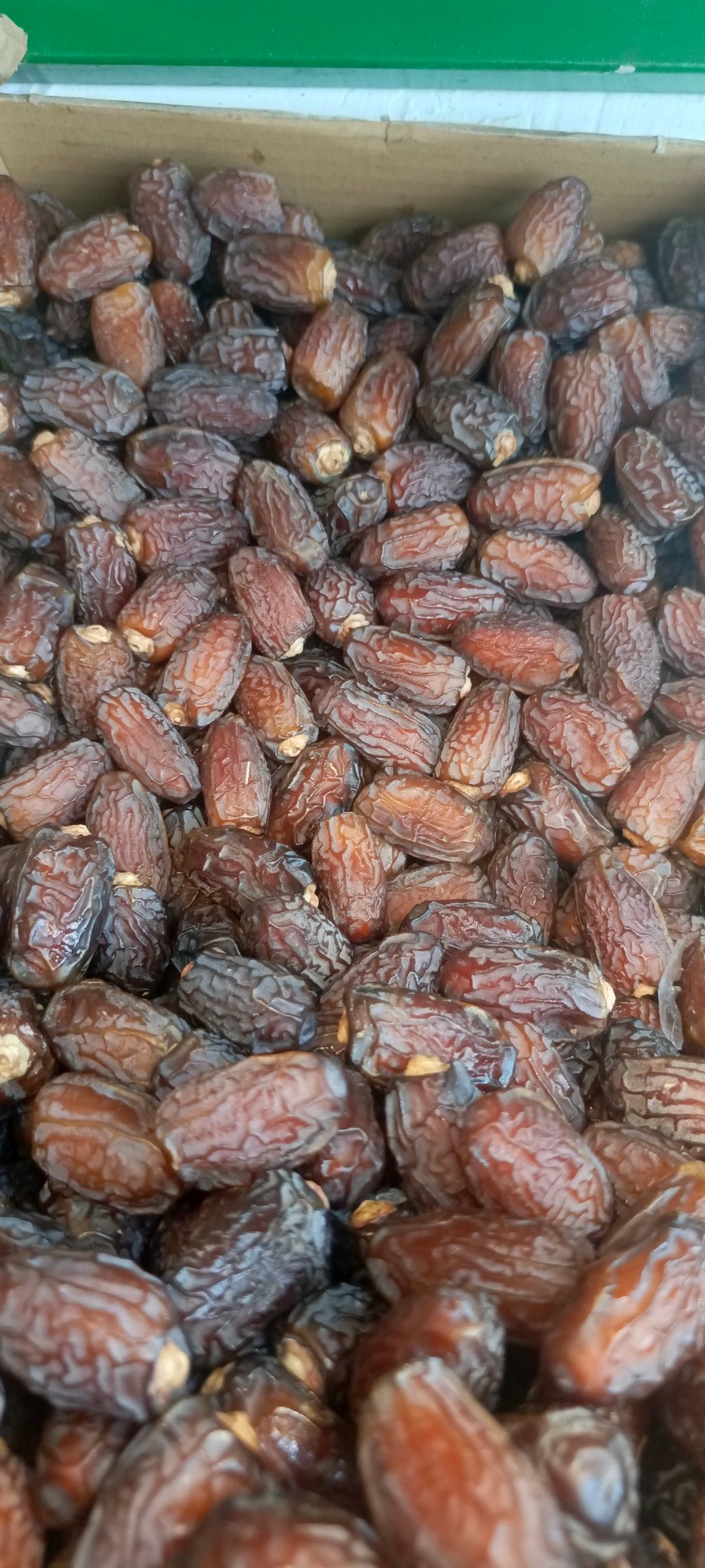 تمر بريم