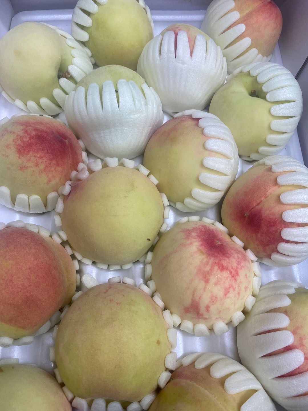 Korean White Peach