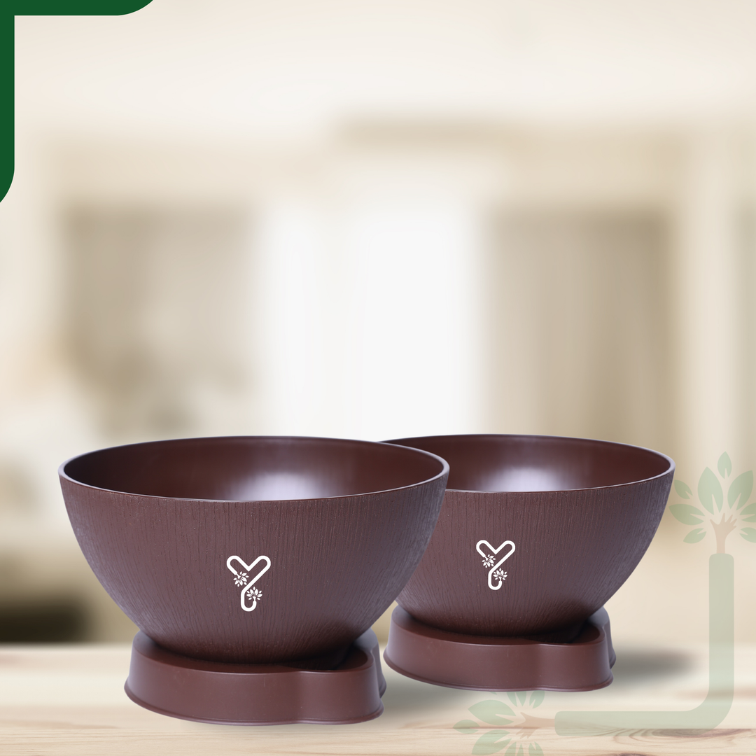 Coffee Ara 20 Self-Watering Bowl Pot - 7.9-Inch with Smart Tray & Wick, X 02