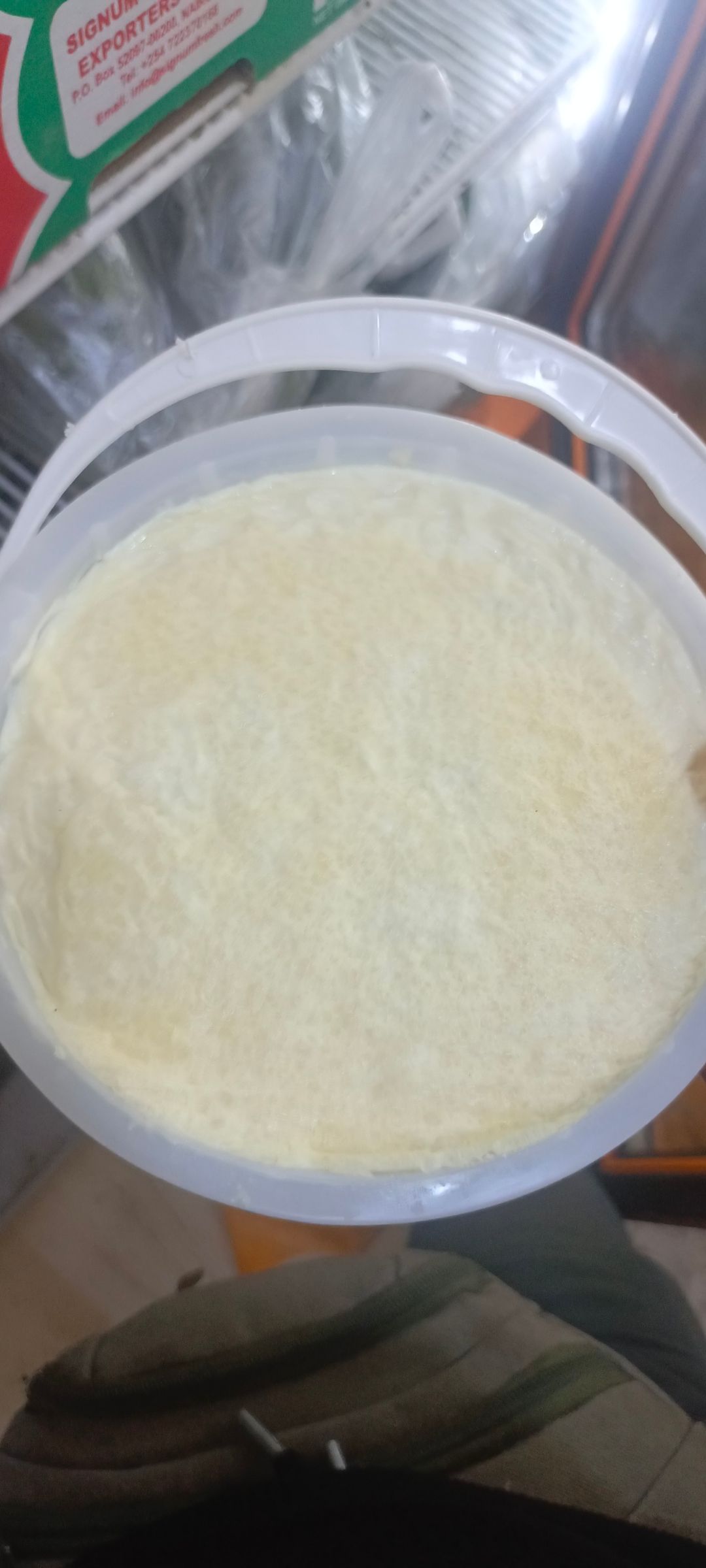 لبن بقر 