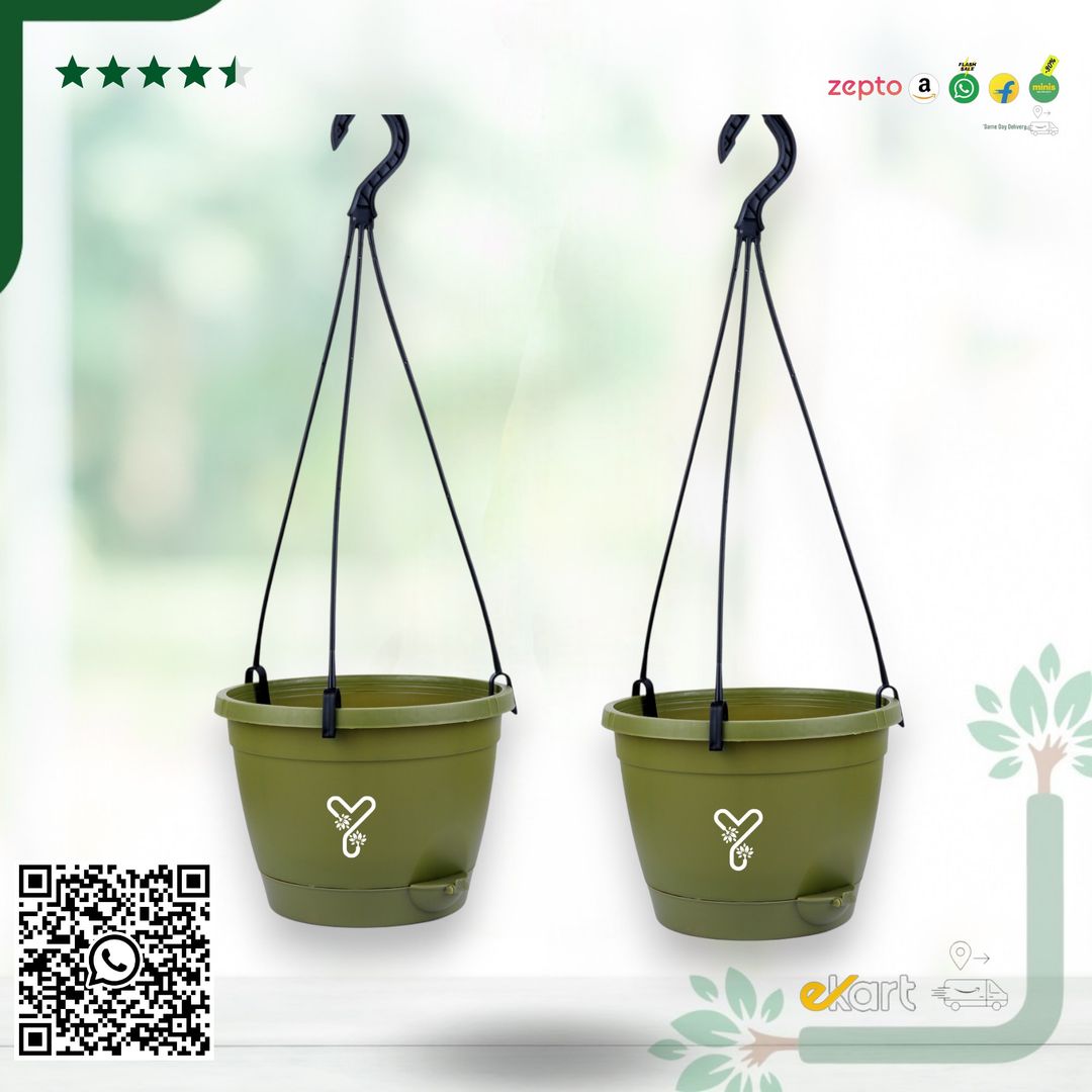 Olive Hanging Self Watering Pot, 8inch, Vertical Hook & 12.5'' Chain | Pack of 2