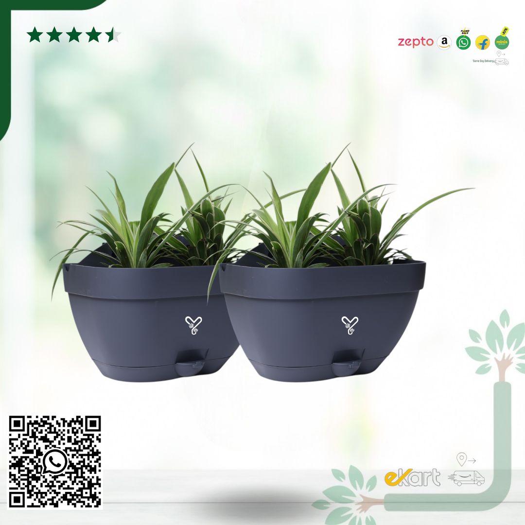 Grey Vertical Garden Wall Mounted Self Watering Pot with Hook | Pack of 2