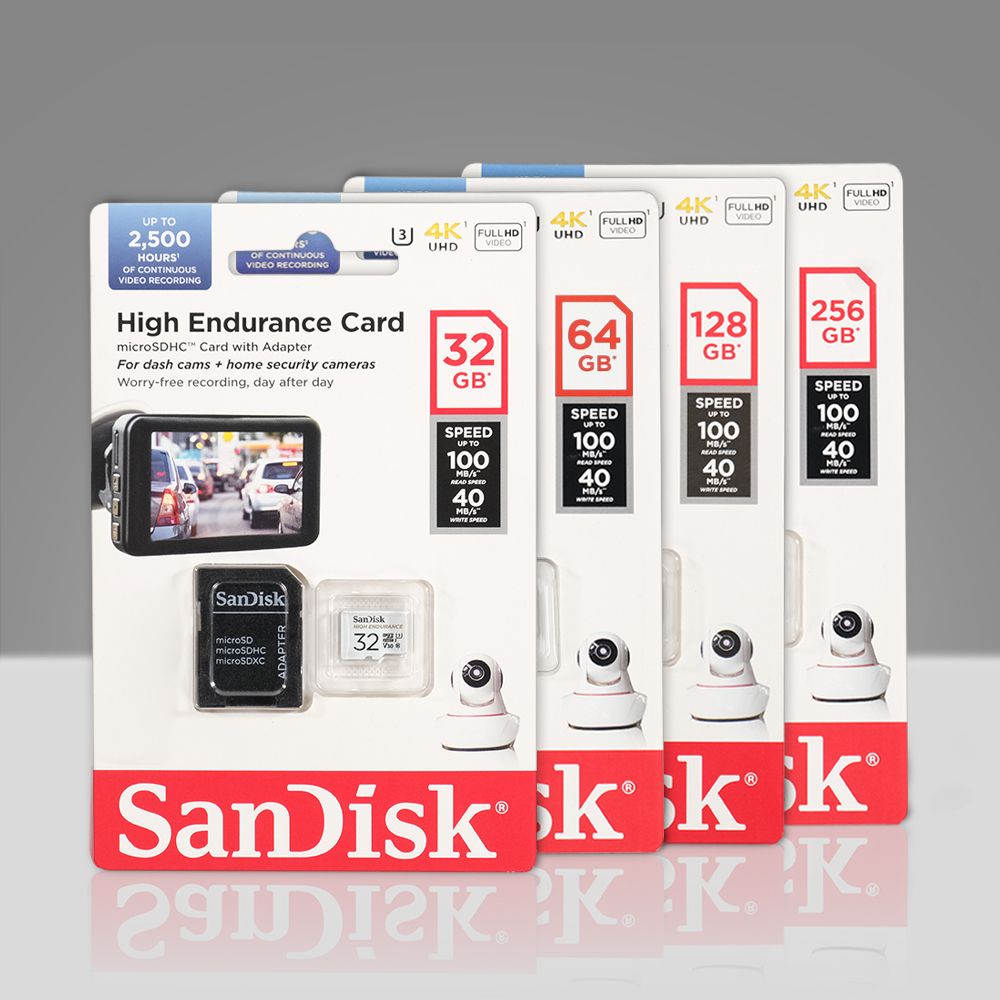 SanDisk High Endurance microSD Card