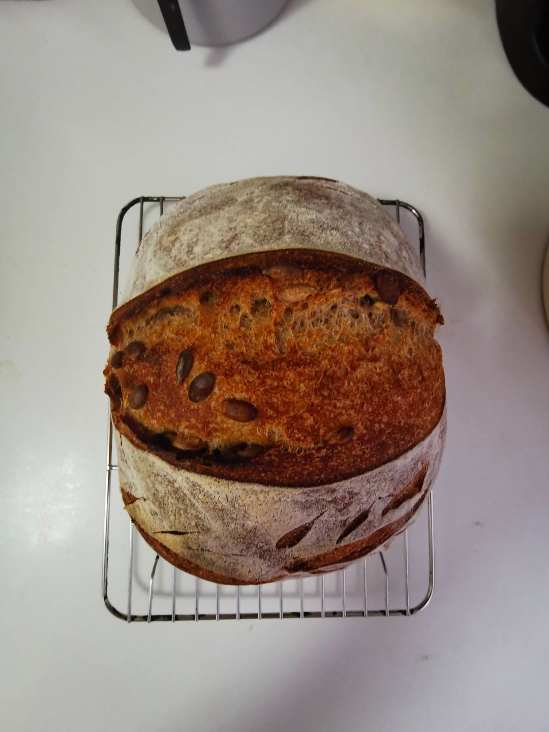 Sourdough 