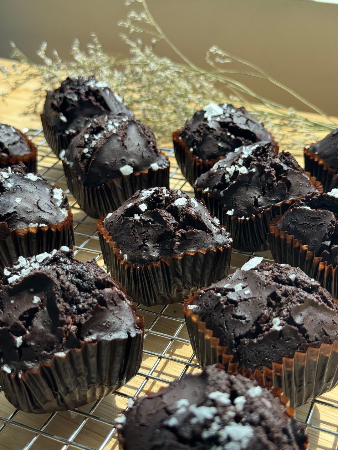 Noti Brownie 