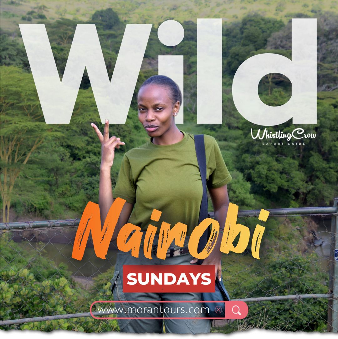 Nairobi National Park and Giraffe Centre
