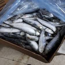 Carton magne 20kg 