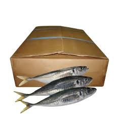 Carton de maquero 20kg 