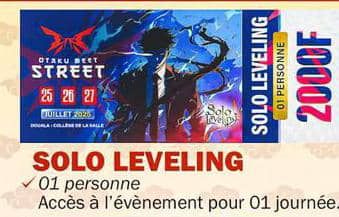Solo leveling 